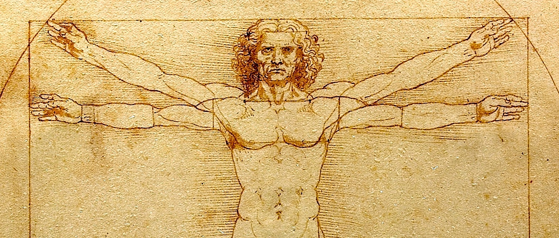 0_The_Vitruvian_Man_-_by_Leonardo_da_Vinci-cropped